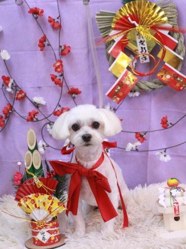 20230124ノアくん